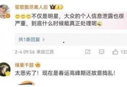 内娱最新消息爆料,明星动向揭秘，娱乐圈风云再起
