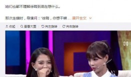 沈梦辰爆料黄新淳视频在线观看,独家爆料引网友热议