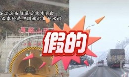 城市之声爆料视频大全最新,揭秘视频大全背后的精彩瞬间