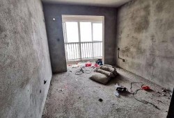 南阳龙锦嘉园最新爆料,揭秘神秘项目背后的惊喜与挑战