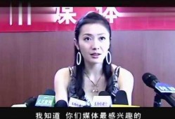 记者最新爆料视频大全,揭秘事件真相，直击社会热点